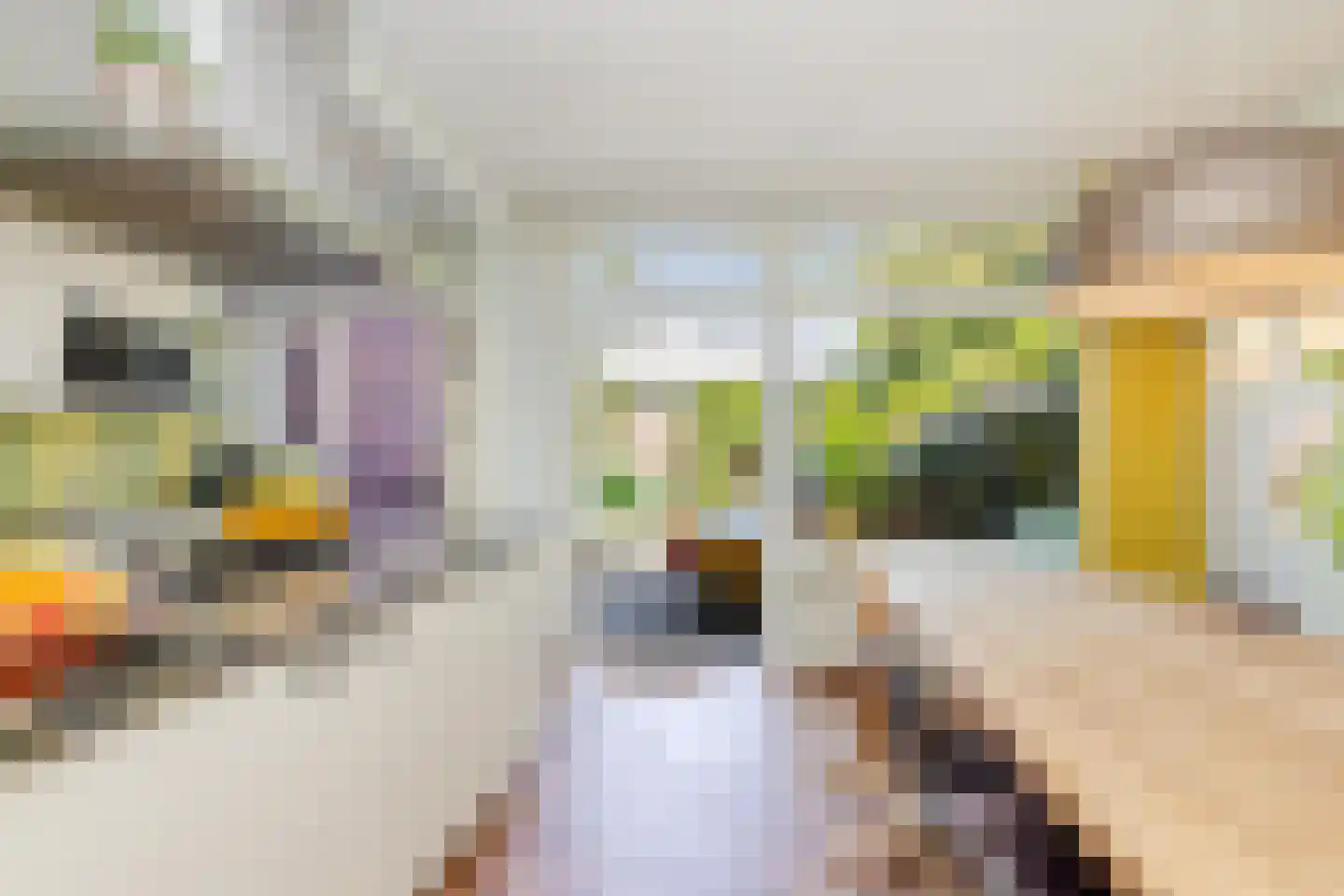 Van Enckevoirtlaan 113 Rotterdam thumbnail 6