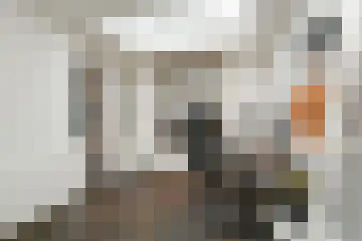 van Enckevoortstraat 33 Egchel thumbnail 13