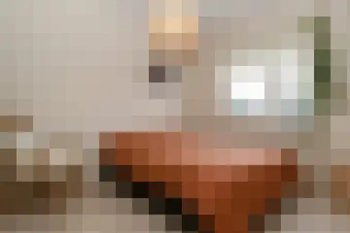 van Enckevoortstraat 33 Egchel thumbnail 18