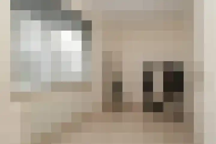 van Enckevoortstraat 33 Egchel thumbnail 19
