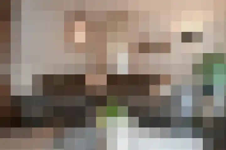 van Enckevoortstraat 33 Egchel thumbnail 6
