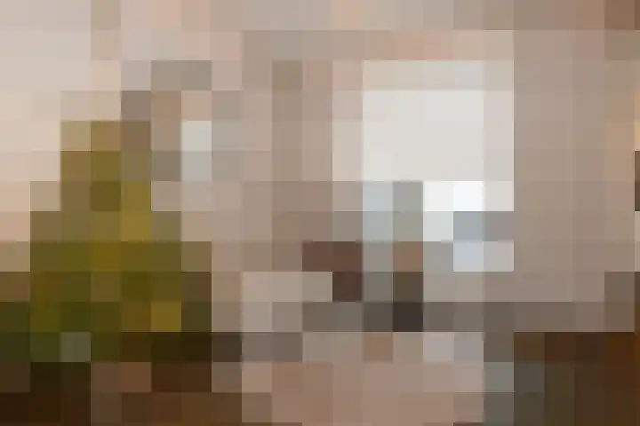 van Enckevoortstraat 33 Egchel thumbnail 8