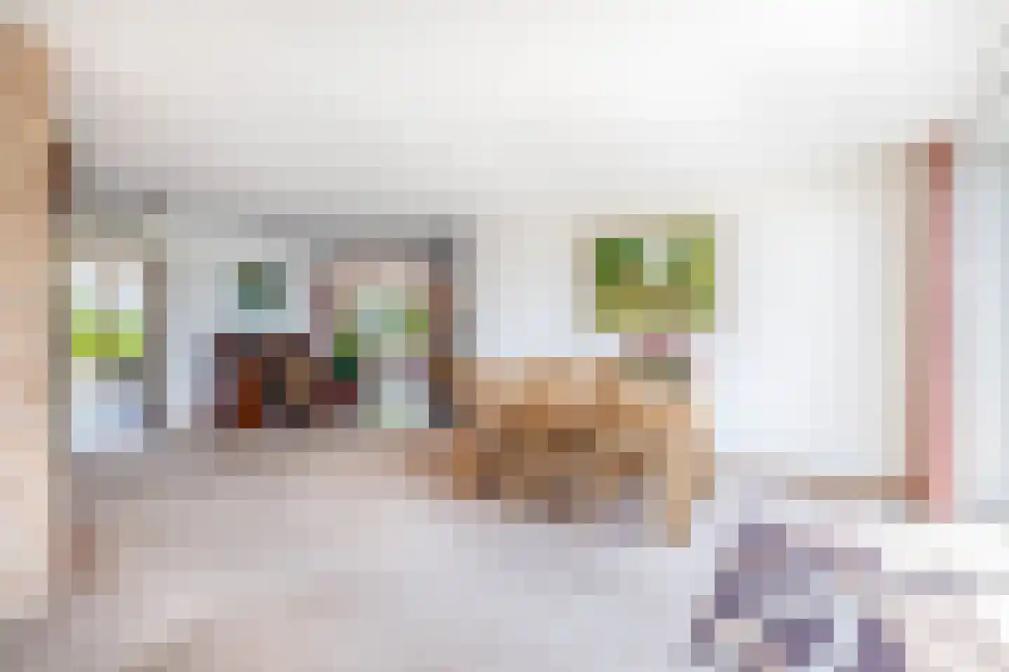 Van Enden 1 Lemmer thumbnail 9