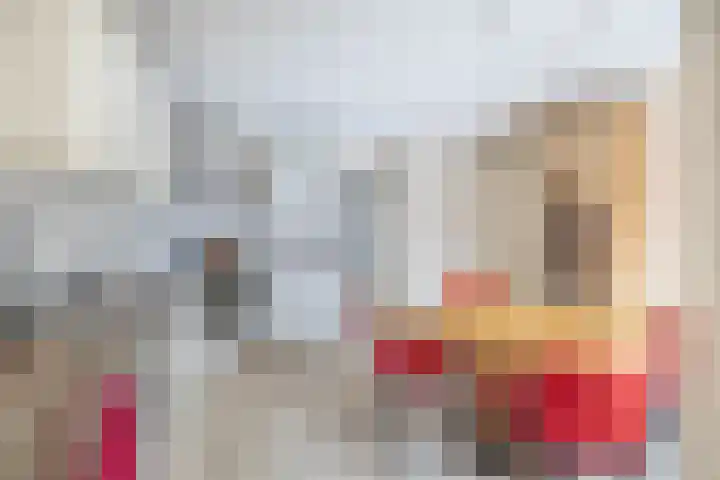Van Enden 4 Lemmer thumbnail 18