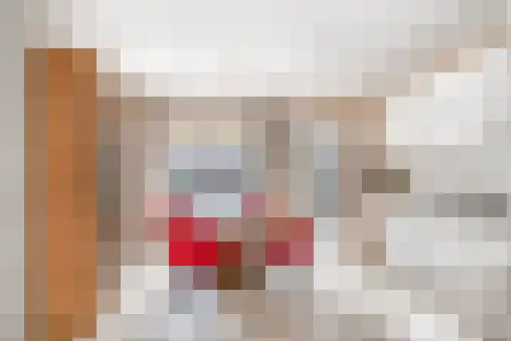 Van Enden 4 Lemmer thumbnail 21