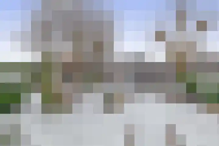 Van Enden 4 Lemmer thumbnail 29