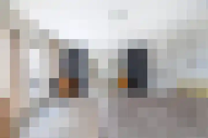Van Enden 4 Lemmer thumbnail 37