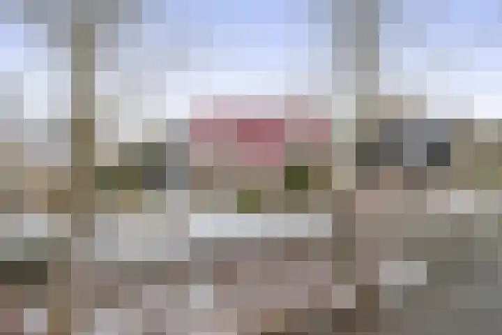 Van Enden 4 Lemmer thumbnail 47