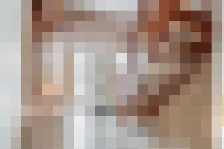 Van Enden 4 Lemmer thumbnail 5