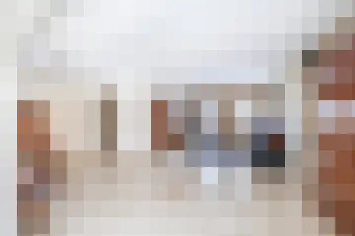 Van Enden 4 Lemmer thumbnail 8