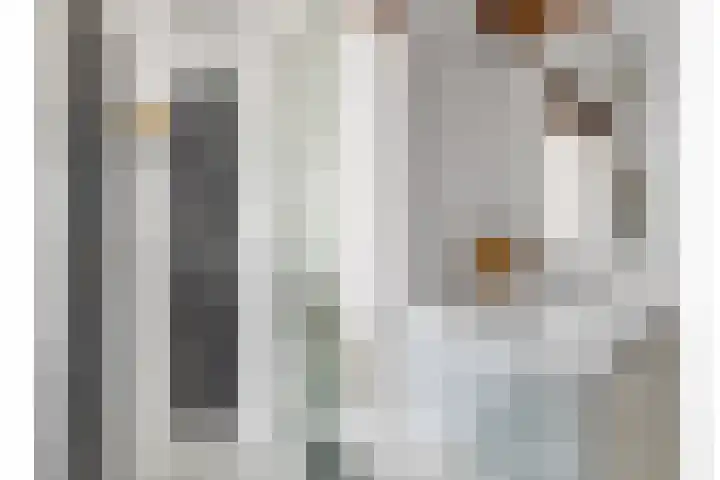 van Ennettenstraat 55 Eindhoven thumbnail 16