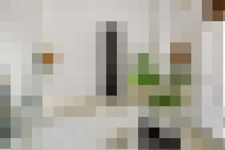 van Ennettenstraat 55 Eindhoven thumbnail 17