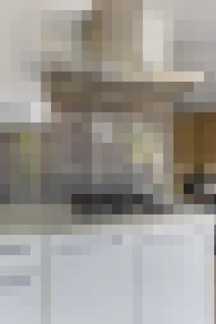 van Ennettenstraat 55 Eindhoven thumbnail 28