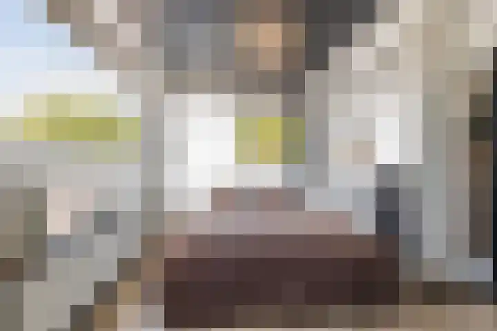van Ennettenstraat 55 Eindhoven thumbnail 9