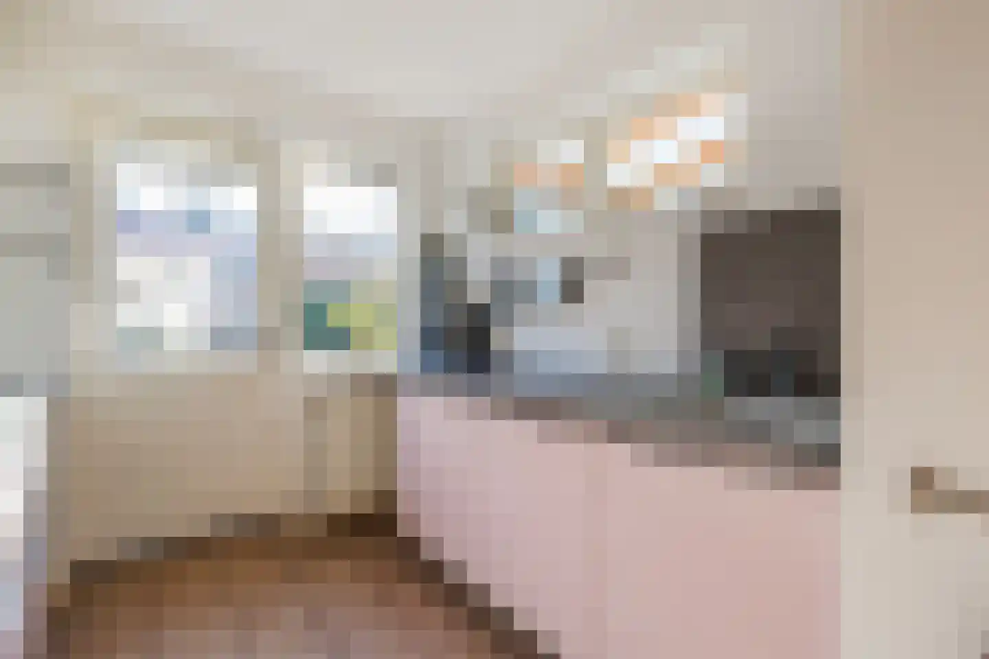 van Enststraat 6 Doetinchem thumbnail 12