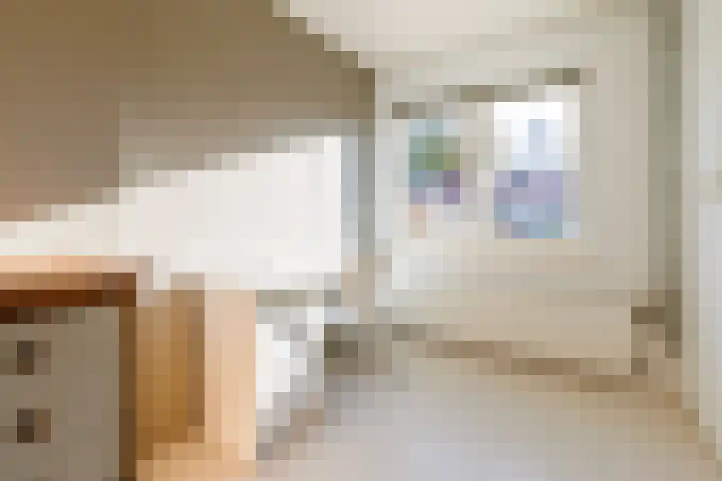 van Enststraat 6 Doetinchem thumbnail 23