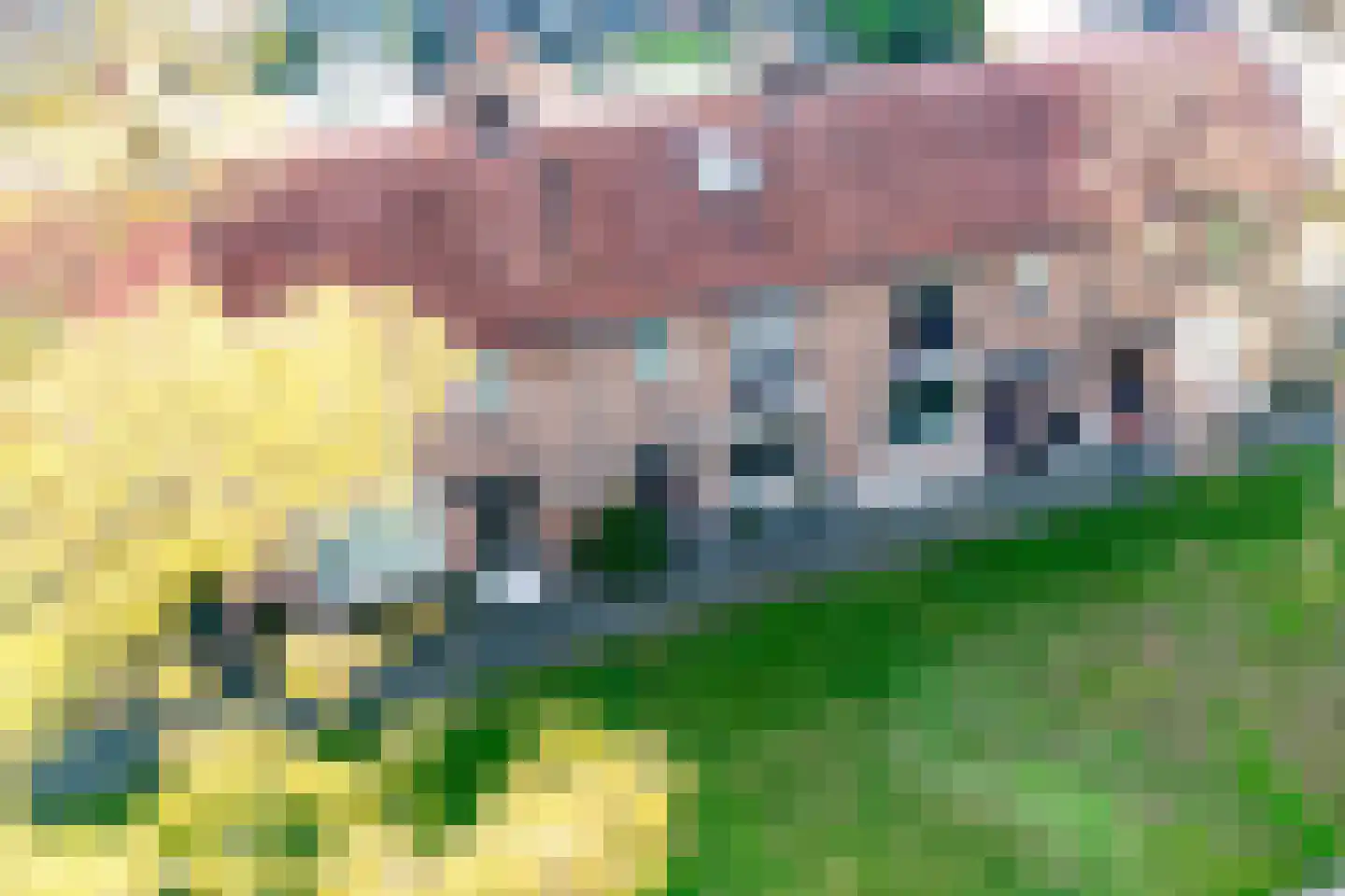 van Enststraat 6 Doetinchem thumbnail 35