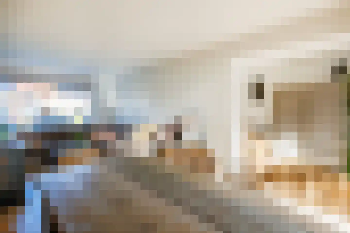 van Enststraat 6 Doetinchem thumbnail 9