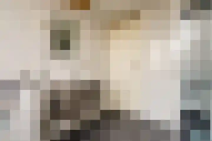 Van Epenstraat 26 Rotterdam thumbnail 20