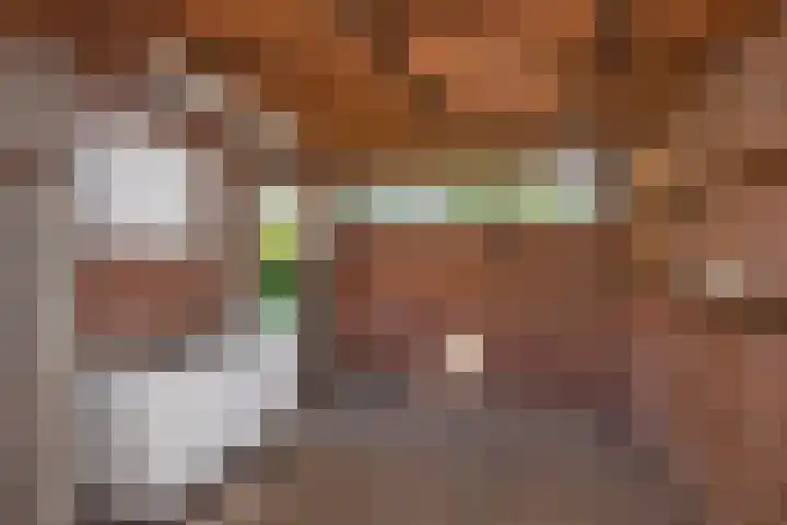 Van Erckelensstraat 5 Delden thumbnail 24
