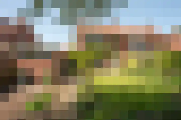 Van Erckelensstraat 5 Delden thumbnail 25