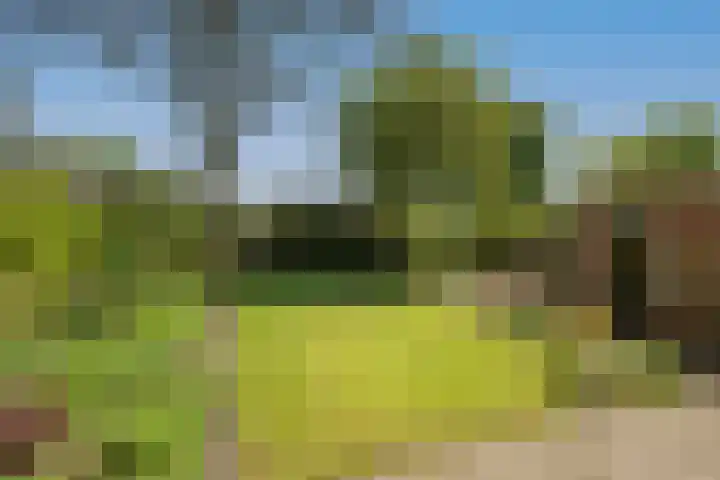Van Erckelensstraat 5 Delden thumbnail 27