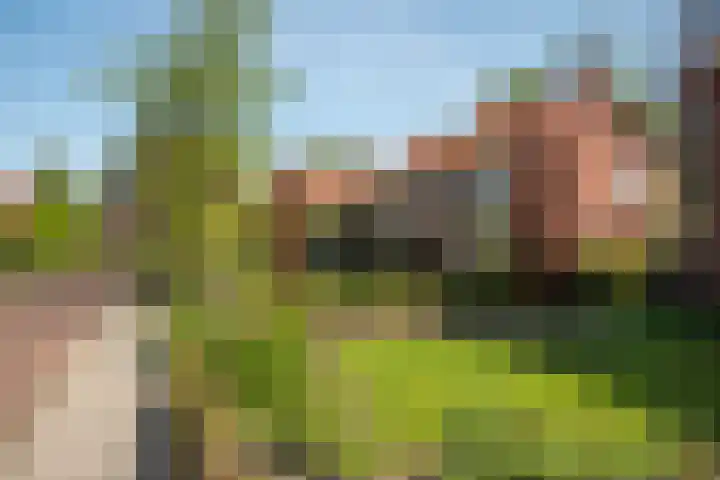 Van Erckelensstraat 5 Delden thumbnail 30
