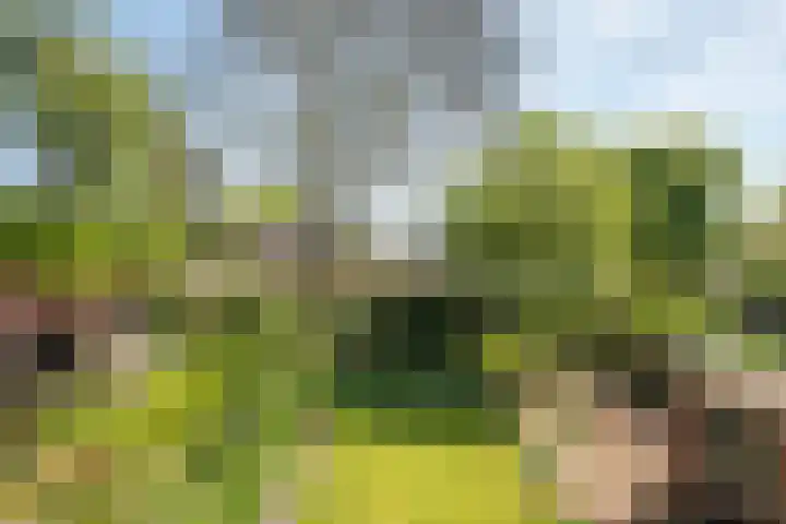 Van Erckelensstraat 5 Delden thumbnail 4