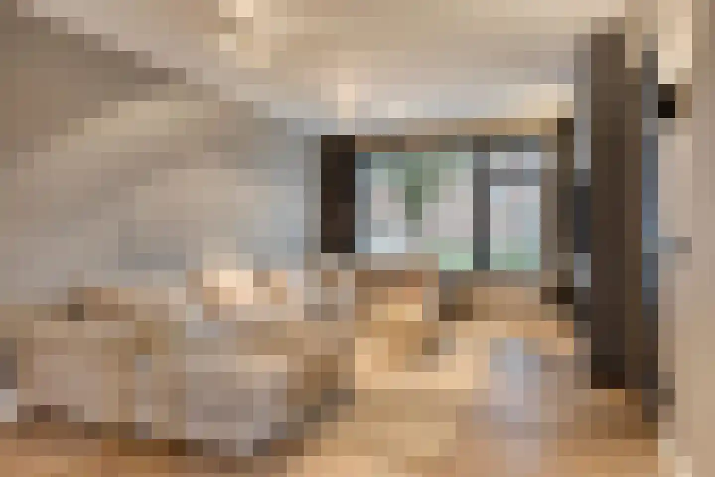 van Erpstraat 1 Geldrop thumbnail 19