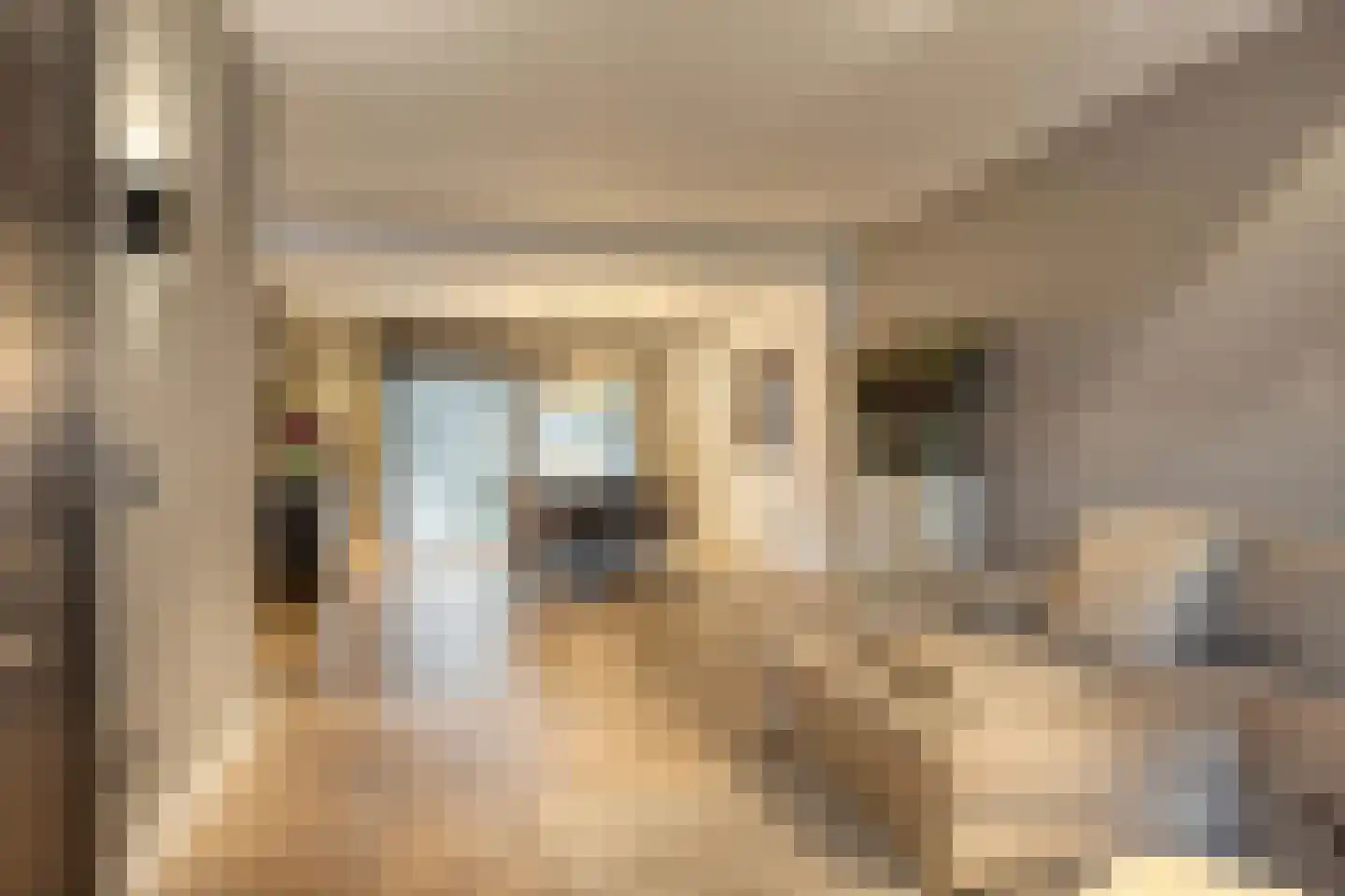 van Erpstraat 1 Geldrop thumbnail 20