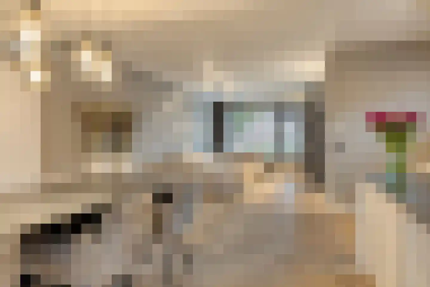 van Erpstraat 1 Geldrop thumbnail 21