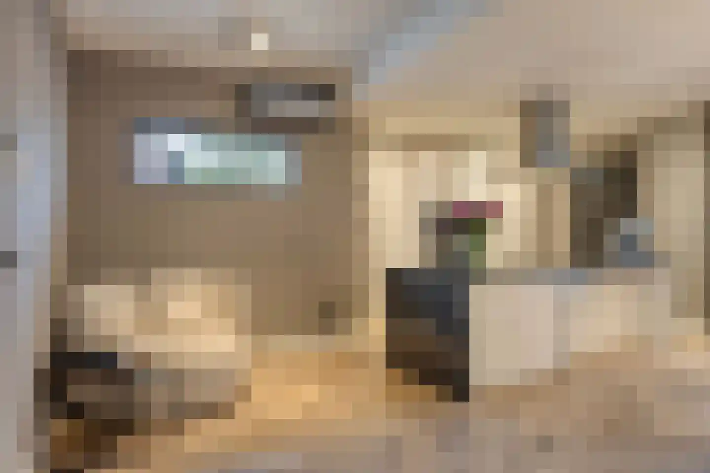 van Erpstraat 1 Geldrop thumbnail 22