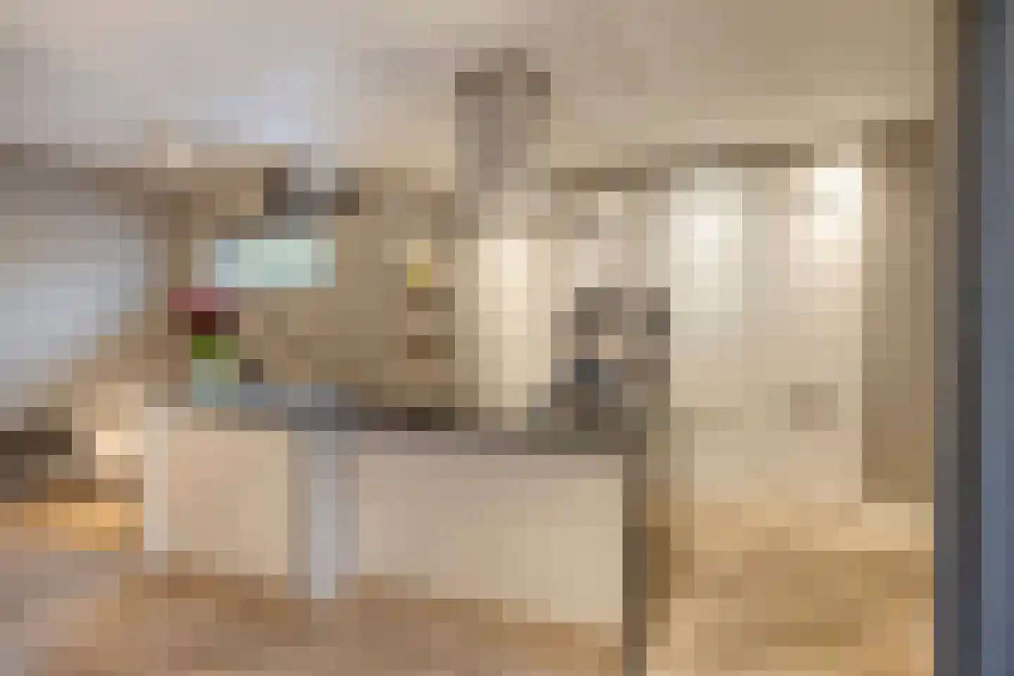 van Erpstraat 1 Geldrop thumbnail 23