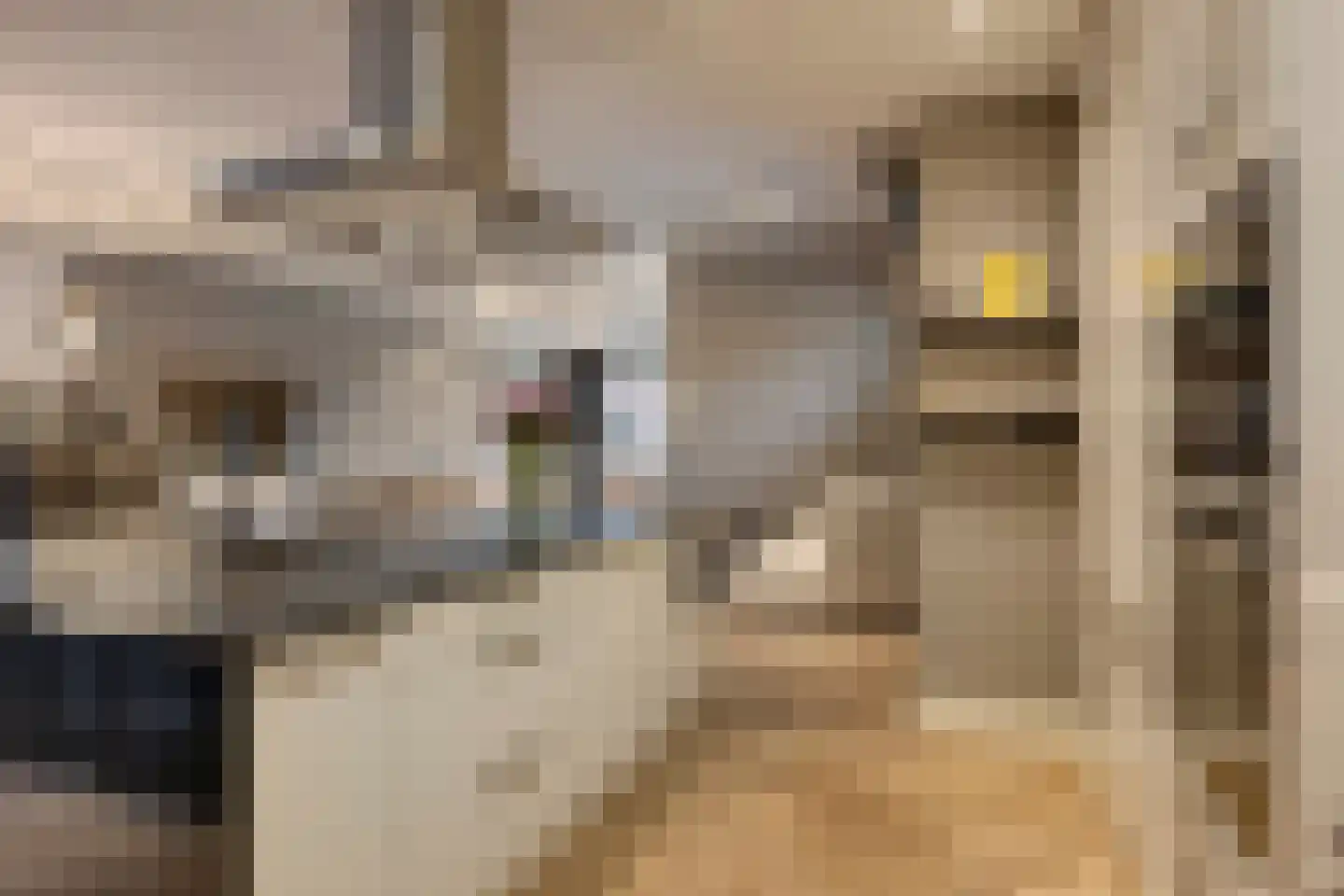 van Erpstraat 1 Geldrop thumbnail 24