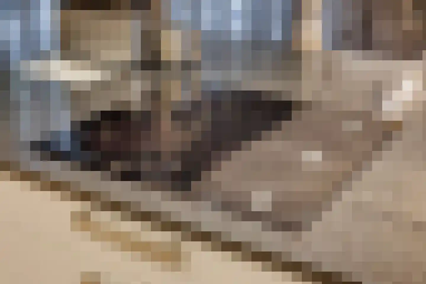 van Erpstraat 1 Geldrop thumbnail 26