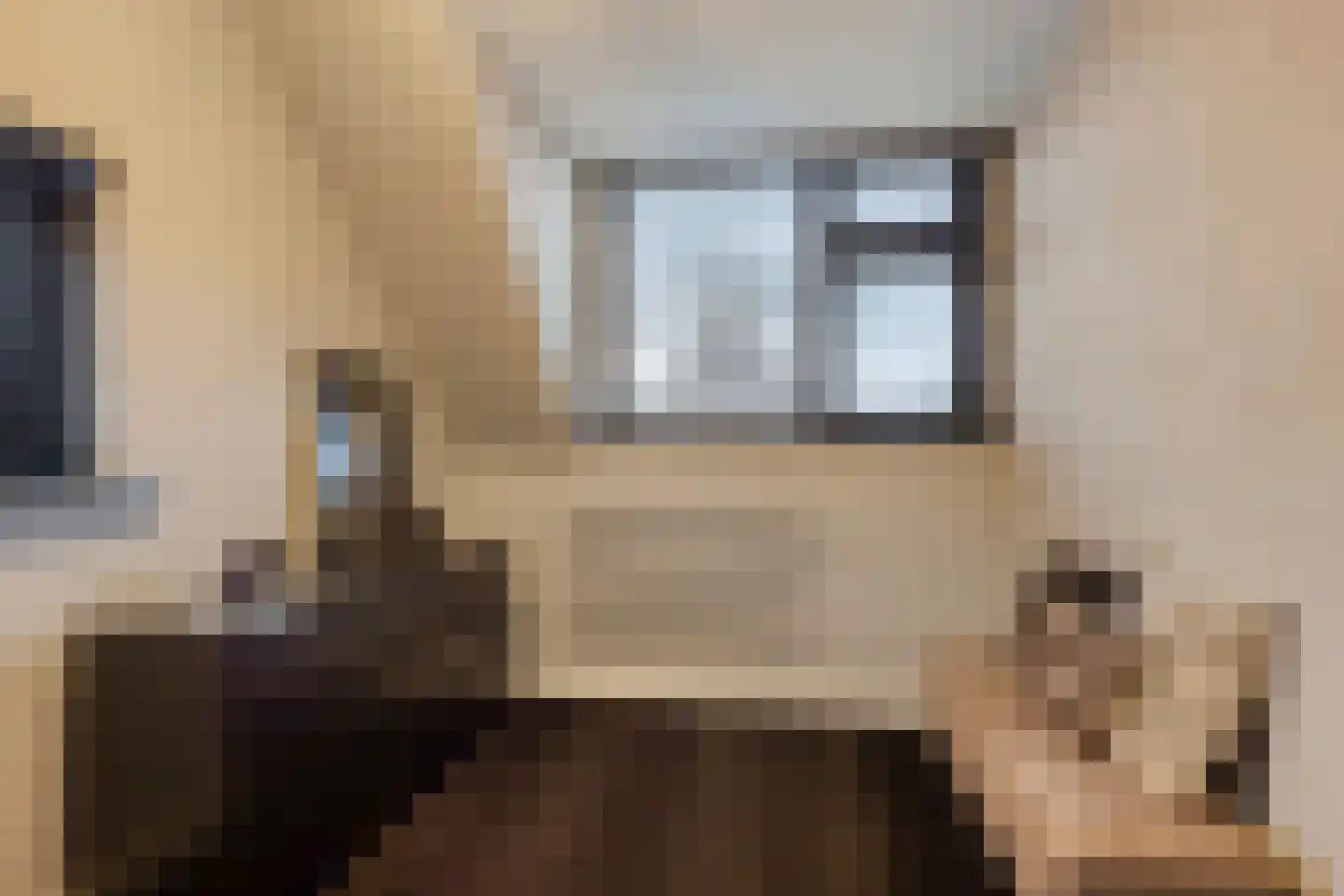 van Erpstraat 1 Geldrop thumbnail 34