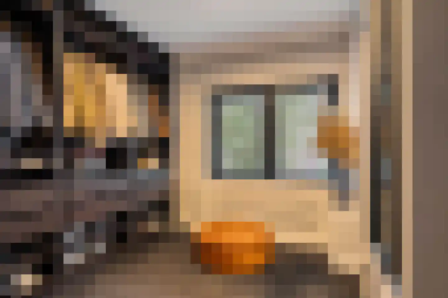 van Erpstraat 1 Geldrop thumbnail 36