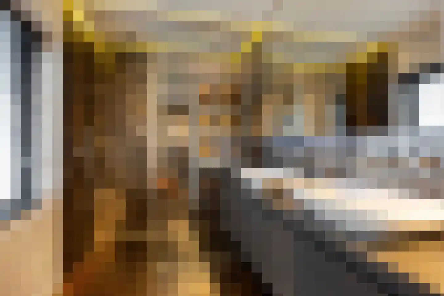 van Erpstraat 1 Geldrop thumbnail 39
