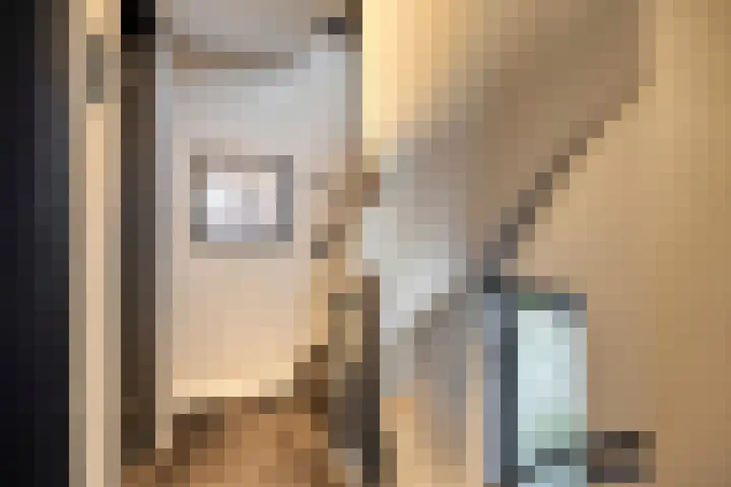van Erpstraat 1 Geldrop thumbnail 42