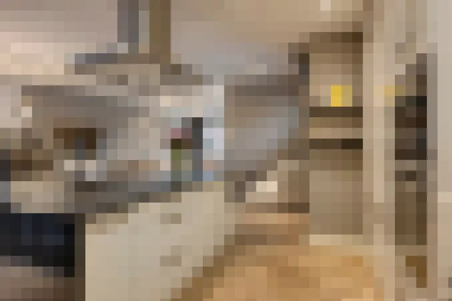 van Erpstraat 1 Geldrop thumbnail 5