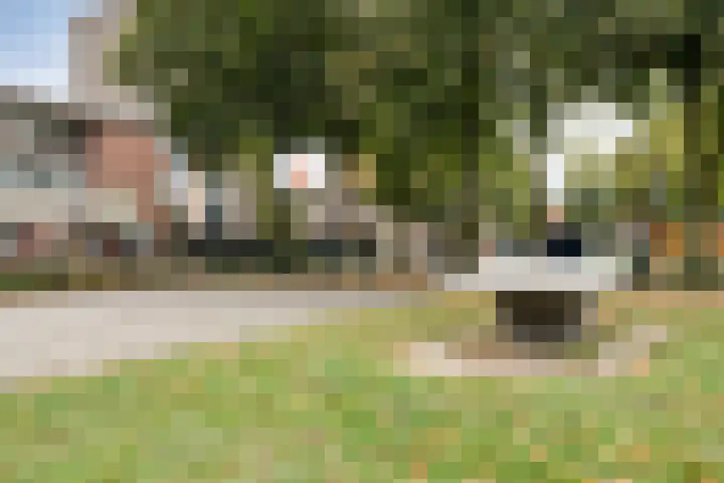van Erpstraat 1 Geldrop thumbnail 56