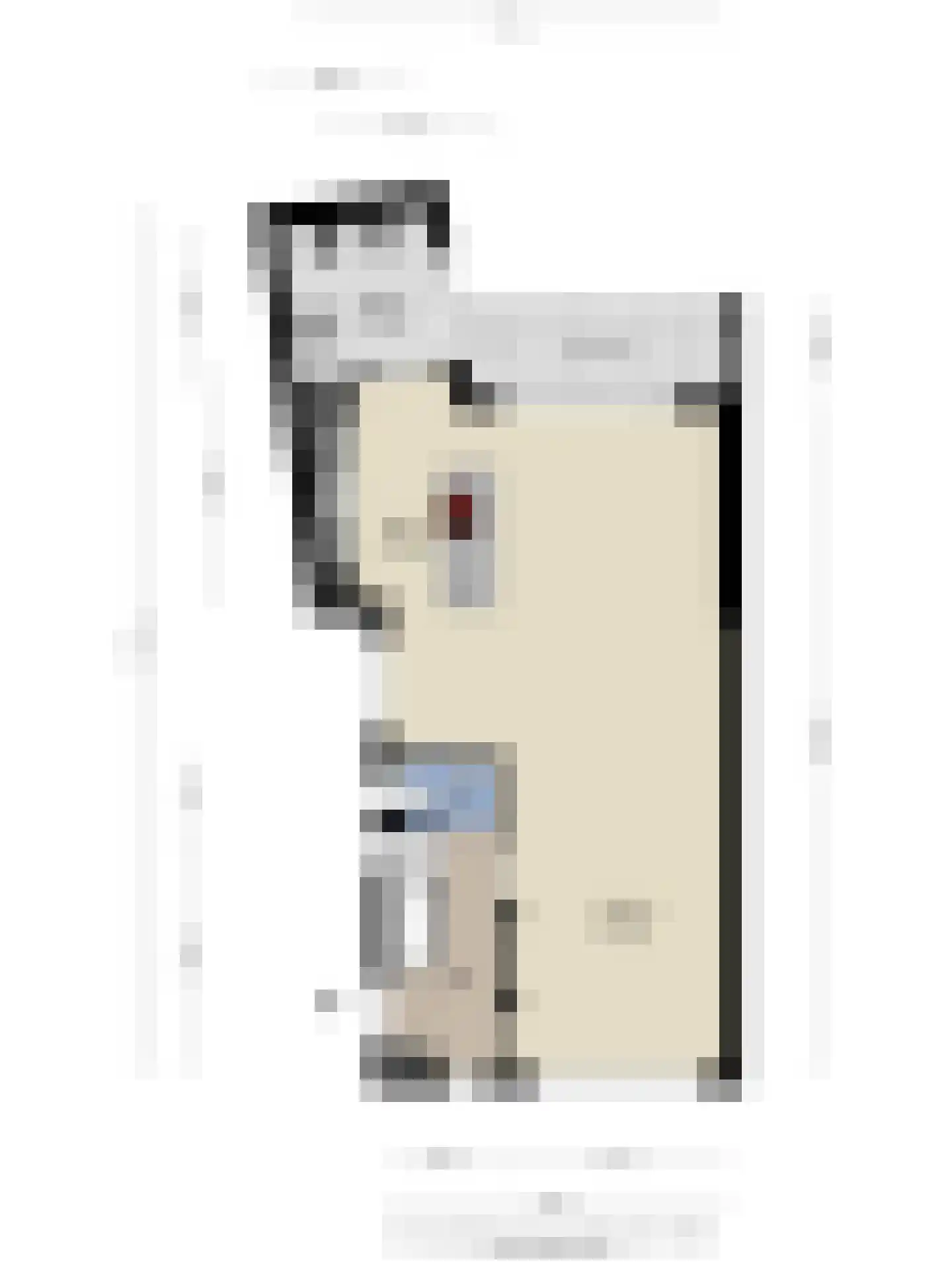 van Erpstraat 1 Geldrop thumbnail 57