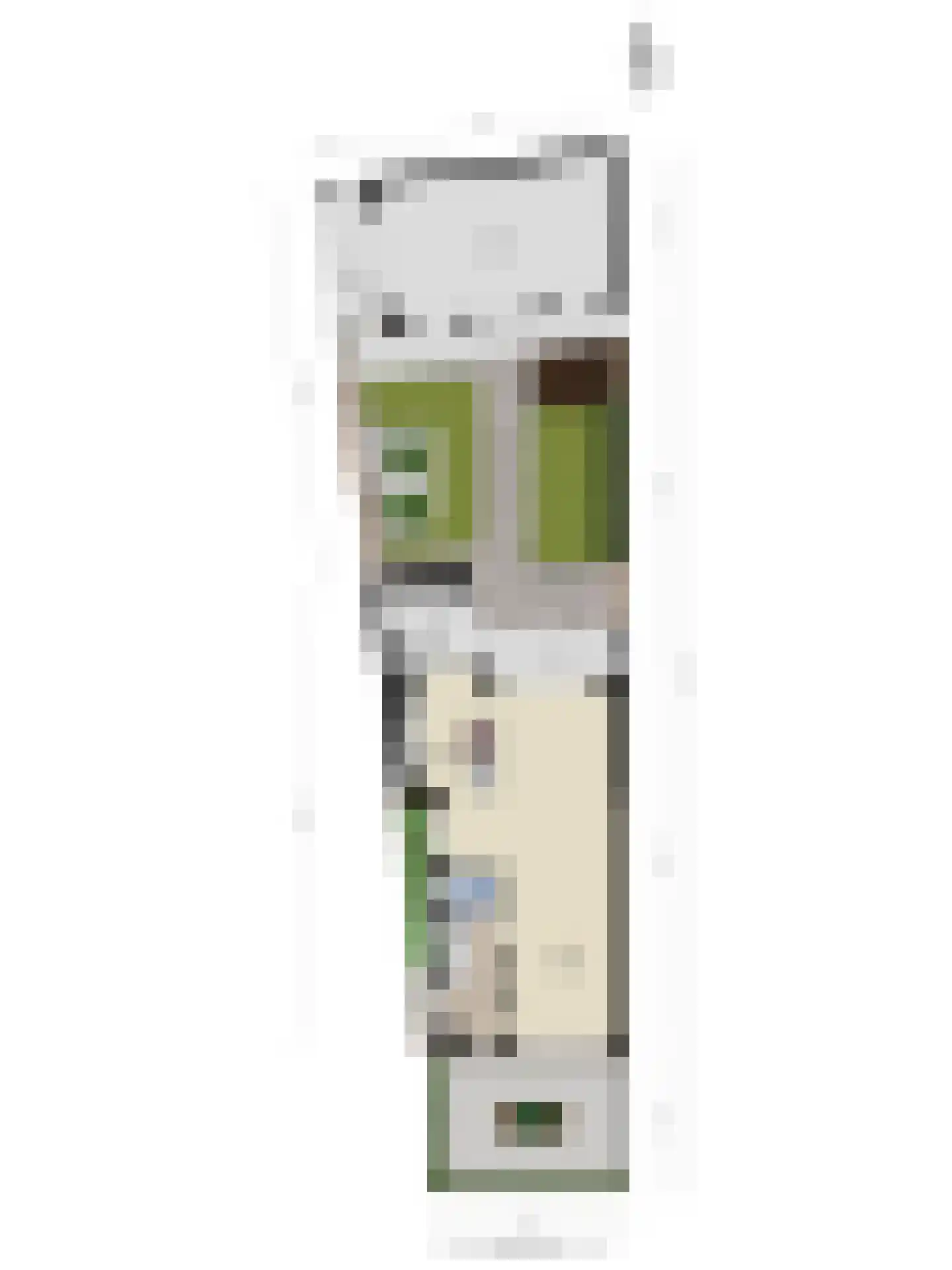 van Erpstraat 1 Geldrop thumbnail 59