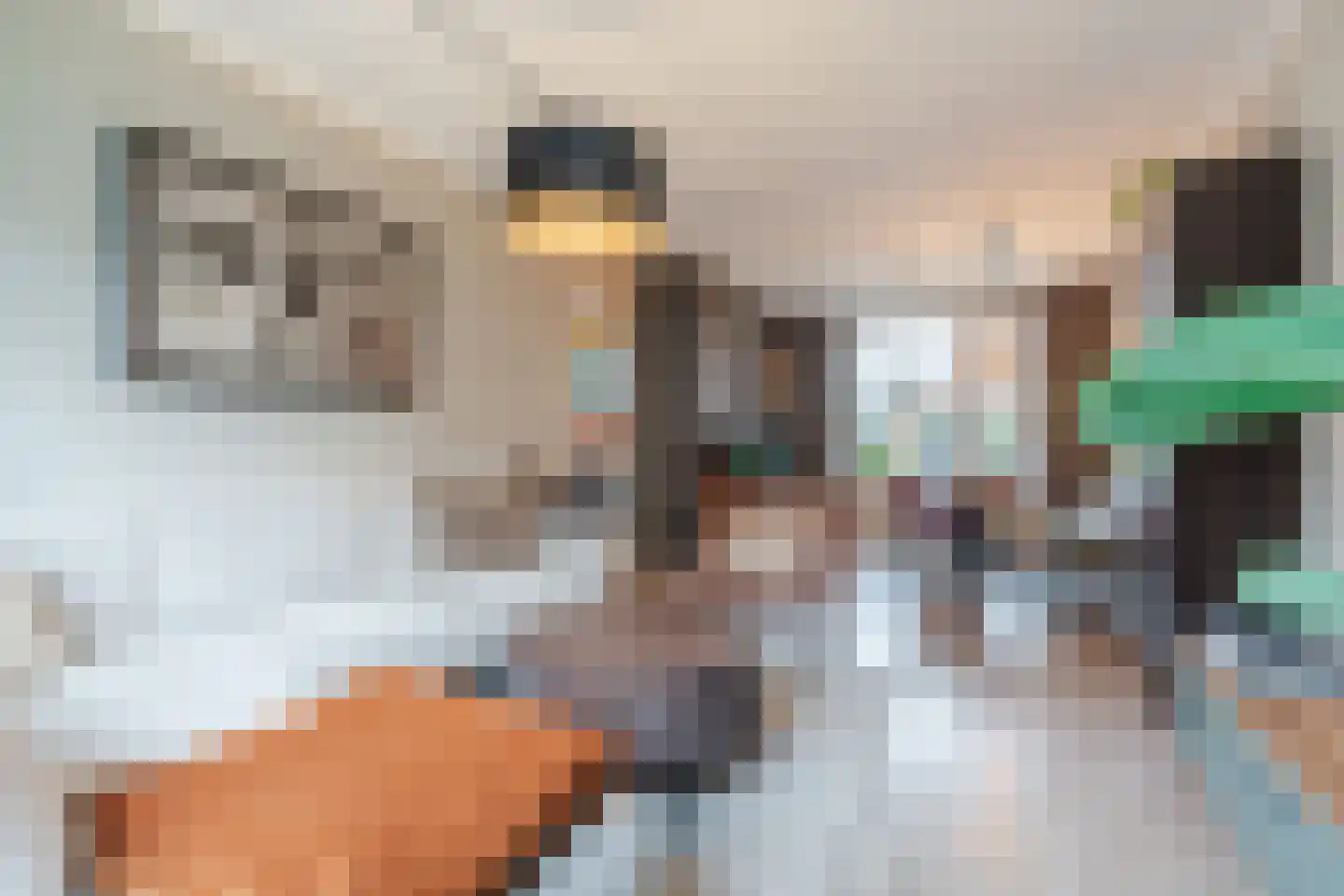 van Erpstraat 13 Geldrop thumbnail 13
