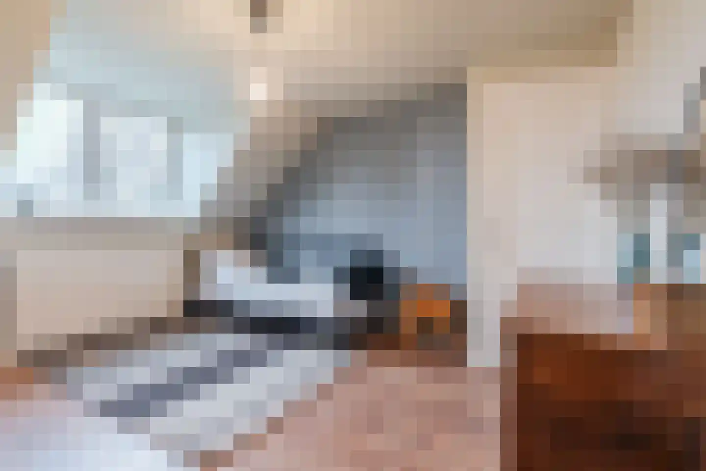 van Erpstraat 13 Geldrop thumbnail 26
