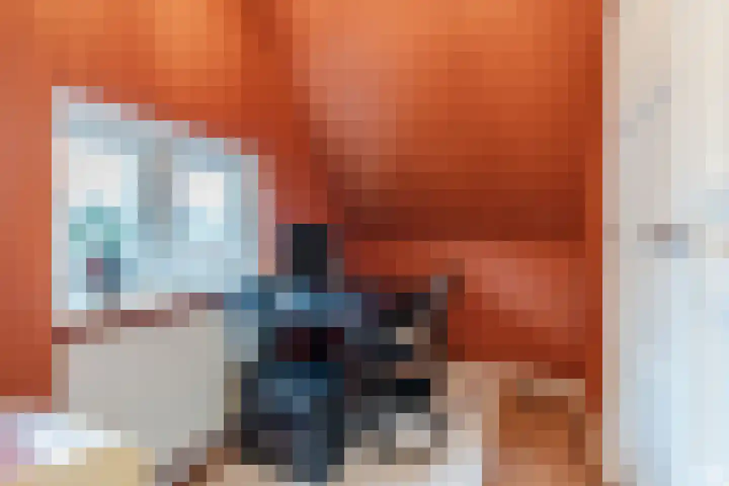 van Erpstraat 13 Geldrop thumbnail 28