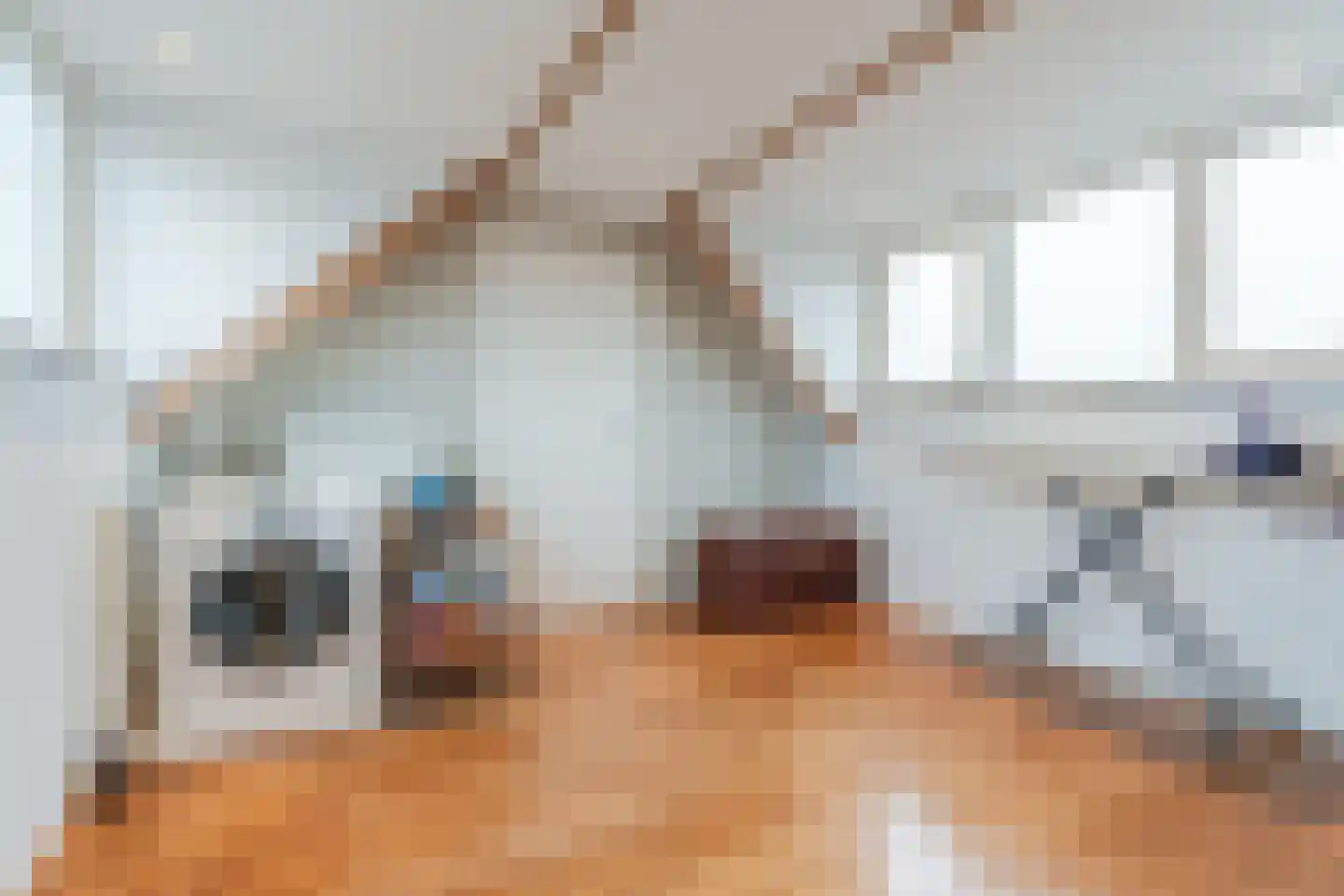 van Erpstraat 13 Geldrop thumbnail 34