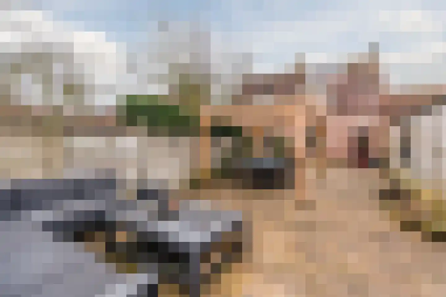 van Erpstraat 13 Geldrop thumbnail 36