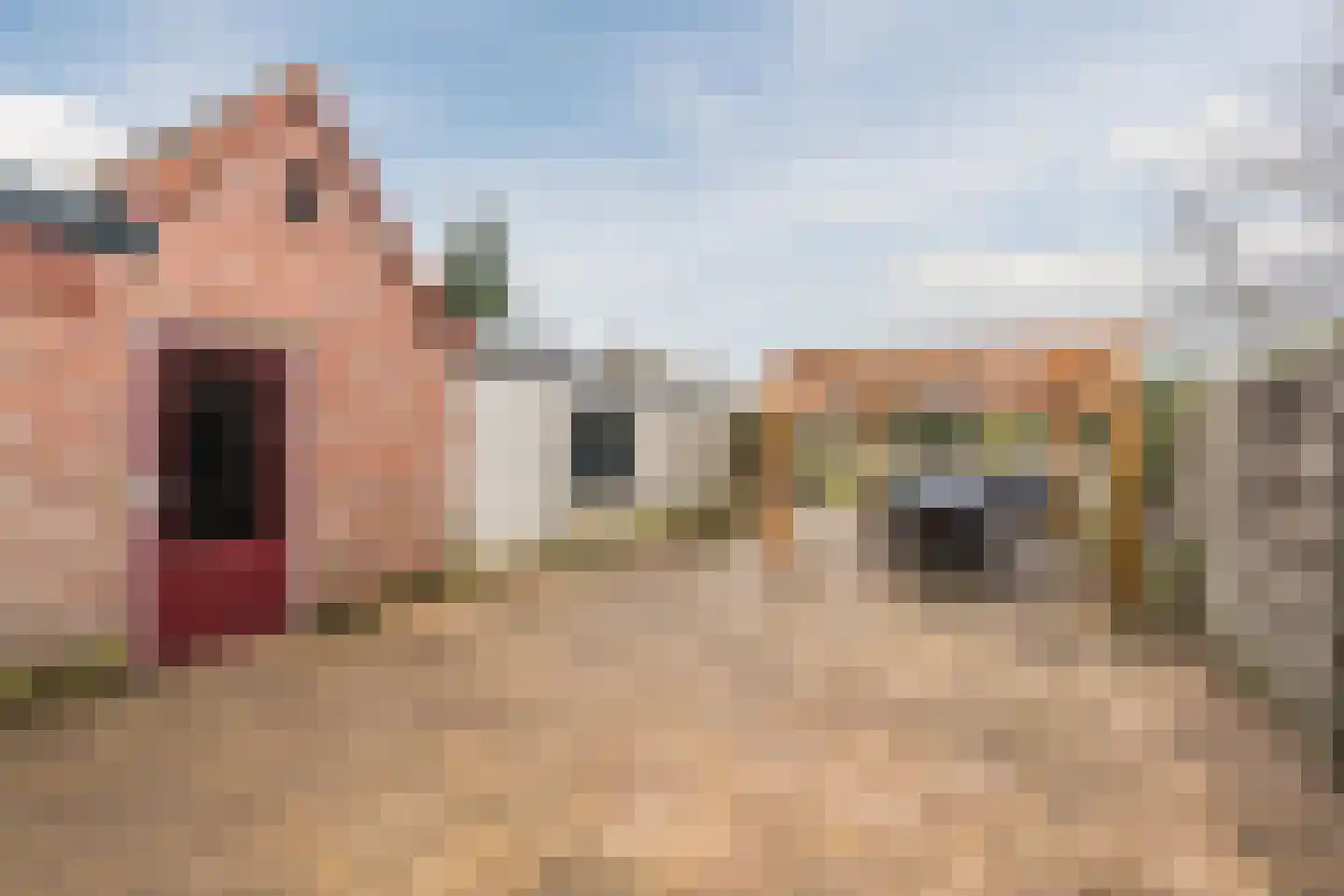 van Erpstraat 13 Geldrop thumbnail 37