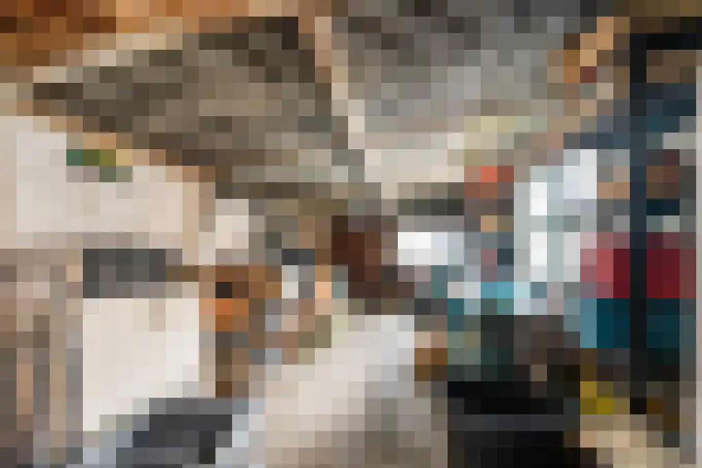 van Erpstraat 13 Geldrop thumbnail 40